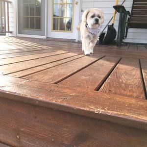 Meet your Posher, Linda